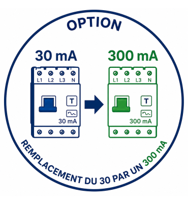 Option  300mA